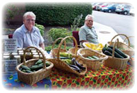 Veggie Stand