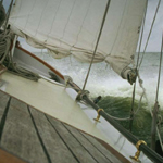 Navigating Life