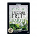 Praying for the Precious Fruit of the Earth (1 CD) 